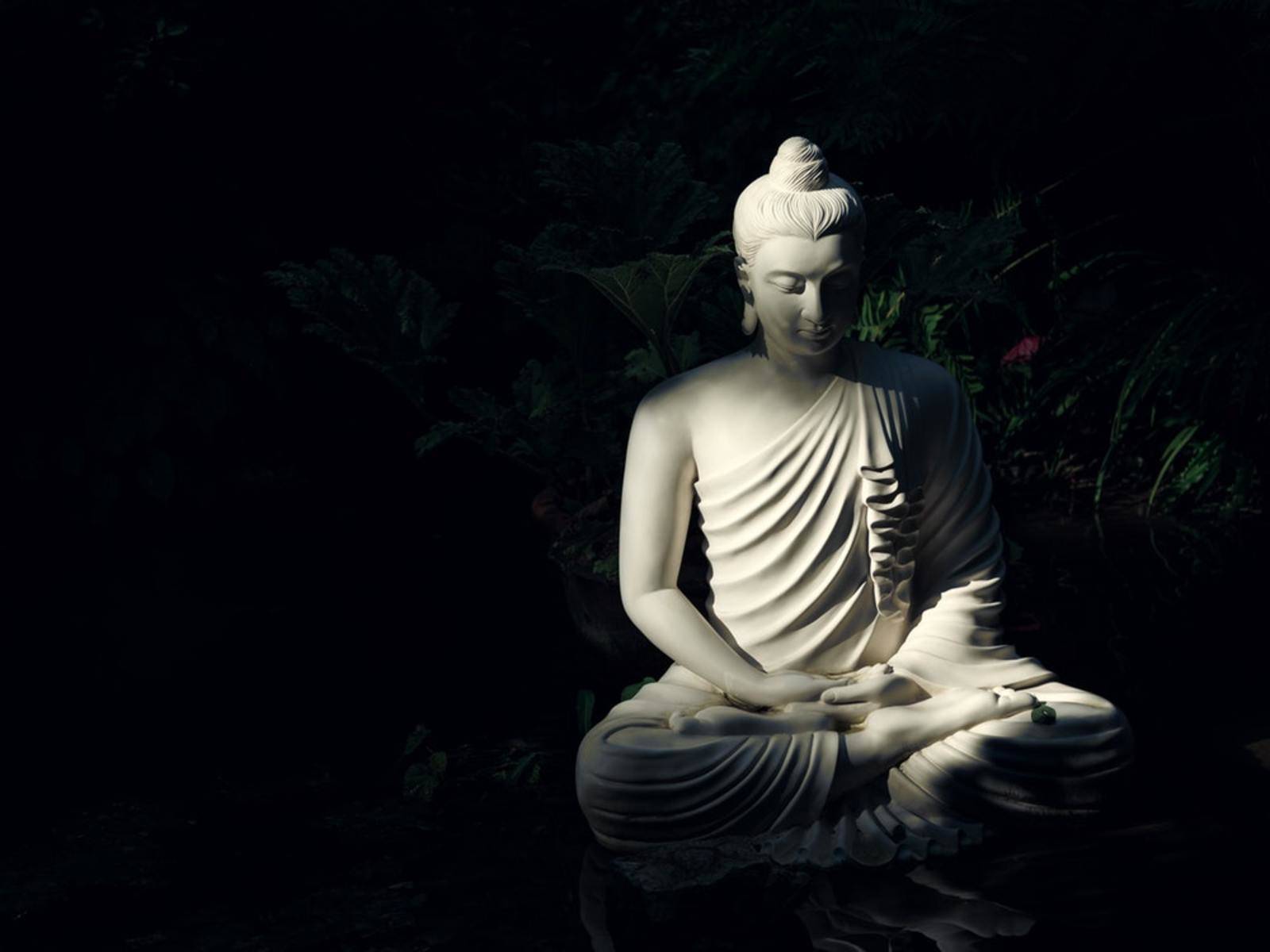Basic Meditation, Dhamma & Balinese Spirituality